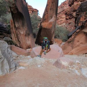 Meet your Posher, Hector